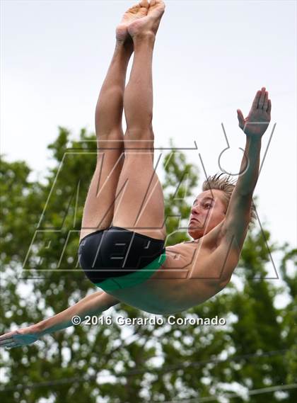 Thumbnail 2 in CIF SJS Boys Diving Championships photogallery.