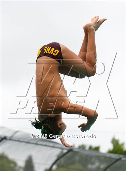 Thumbnail 2 in CIF SJS Boys Diving Championships photogallery.