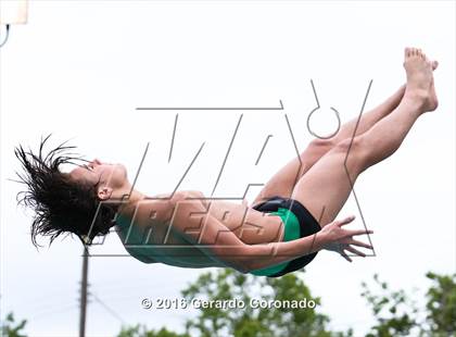 Thumbnail 3 in CIF SJS Boys Diving Championships photogallery.