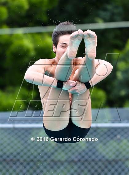 Thumbnail 1 in CIF SJS Boys Diving Championships photogallery.