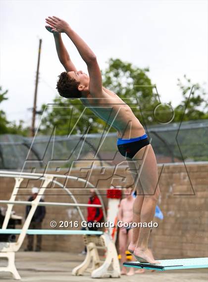 Thumbnail 3 in CIF SJS Boys Diving Championships photogallery.