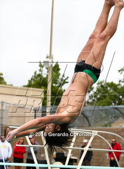 Thumbnail 1 in CIF SJS Boys Diving Championships photogallery.