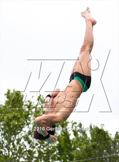 Thumbnail 2 in CIF SJS Boys Diving Championships photogallery.