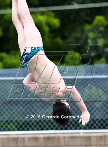 Thumbnail 1 in CIF SJS Boys Diving Championships photogallery.