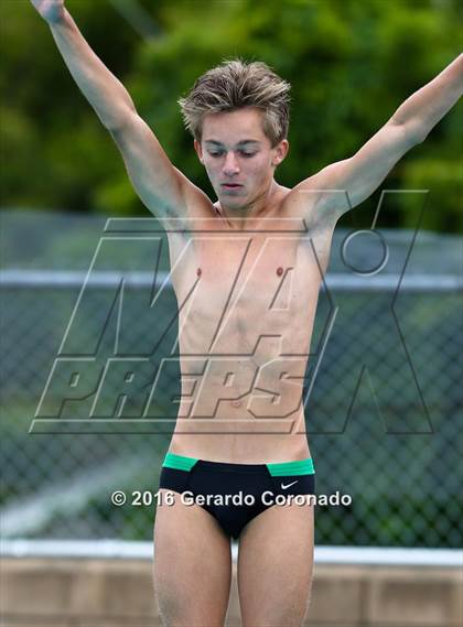 Thumbnail 2 in CIF SJS Boys Diving Championships photogallery.