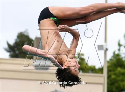 Thumbnail 2 in CIF SJS Boys Diving Championships photogallery.