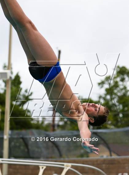 Thumbnail 3 in CIF SJS Boys Diving Championships photogallery.