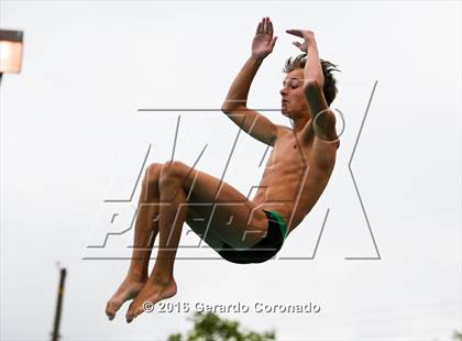 Thumbnail 1 in CIF SJS Boys Diving Championships photogallery.