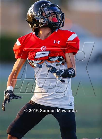 Thumbnail 3 in Arleta vs. Carson  photogallery.