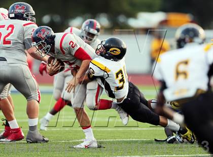 Thumbnail 2 in Boyd vs Garland photogallery.
