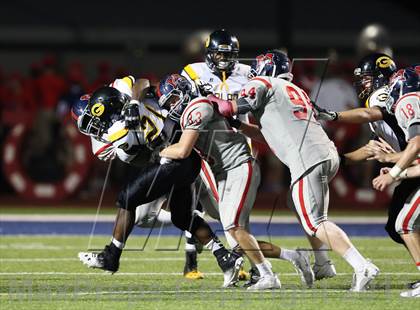 Thumbnail 2 in Boyd vs Garland photogallery.