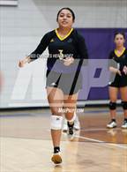 Photo from the gallery "Providence Classical @ St. Joseph Catholic"