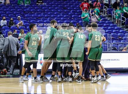 Thumbnail 2 in Tatum vs. Cole (UIL 3A State Championship) photogallery.