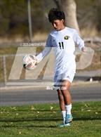 Photo from the gallery "Knight @ Littlerock"