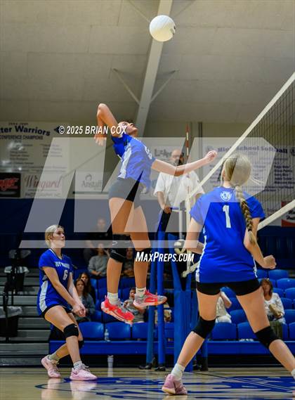 Thumbnail 1 in Marshall @ Cotter photogallery.