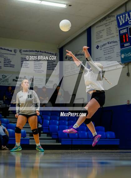 Thumbnail 1 in Marshall @ Cotter photogallery.