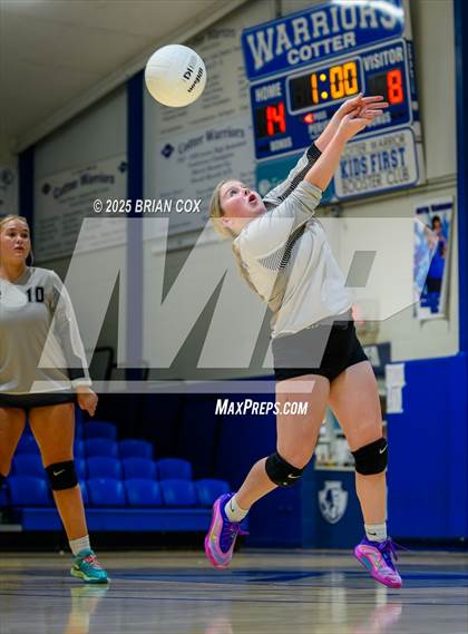 Thumbnail 3 in Marshall @ Cotter photogallery.