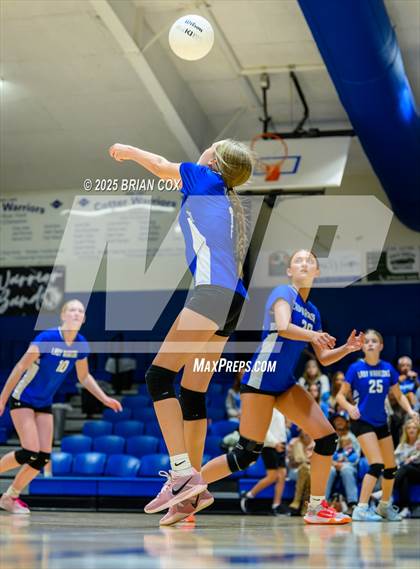Thumbnail 3 in Marshall @ Cotter photogallery.
