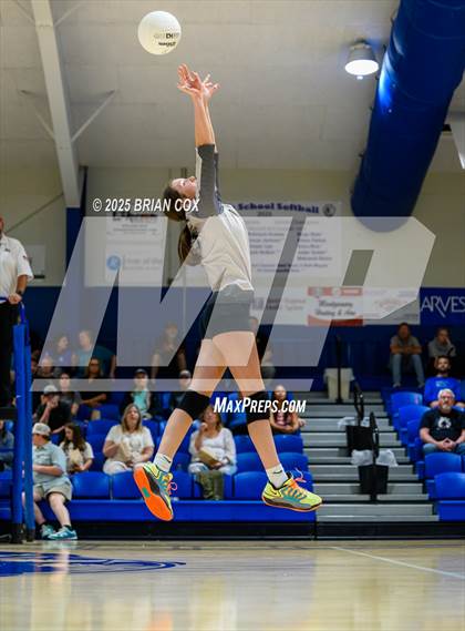 Thumbnail 1 in Marshall @ Cotter photogallery.