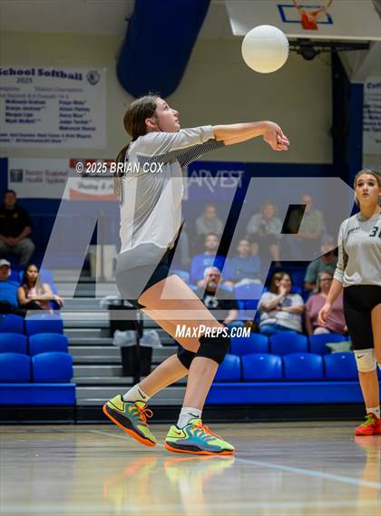 Thumbnail 2 in Marshall @ Cotter photogallery.