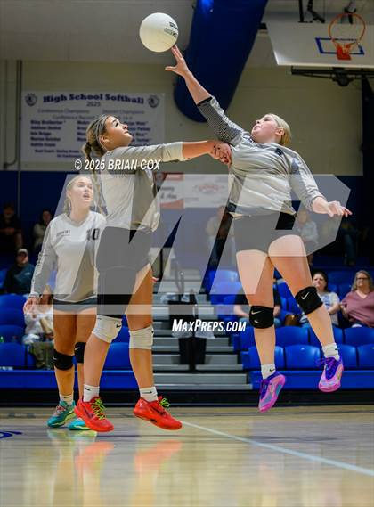 Thumbnail 3 in Marshall @ Cotter photogallery.