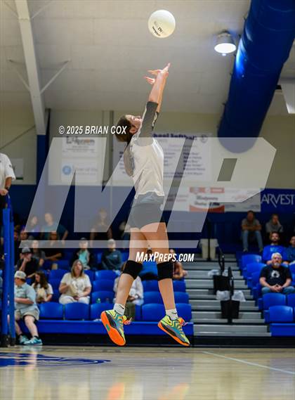 Thumbnail 3 in Marshall @ Cotter photogallery.