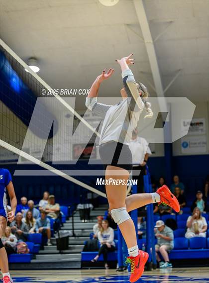Thumbnail 1 in Marshall @ Cotter photogallery.