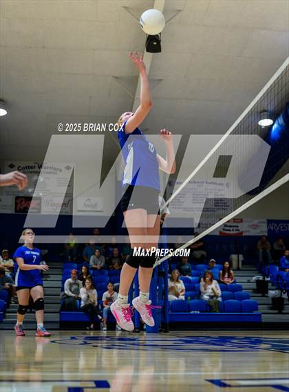 Thumbnail 3 in Marshall @ Cotter photogallery.