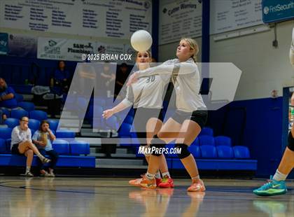 Thumbnail 2 in Marshall @ Cotter photogallery.