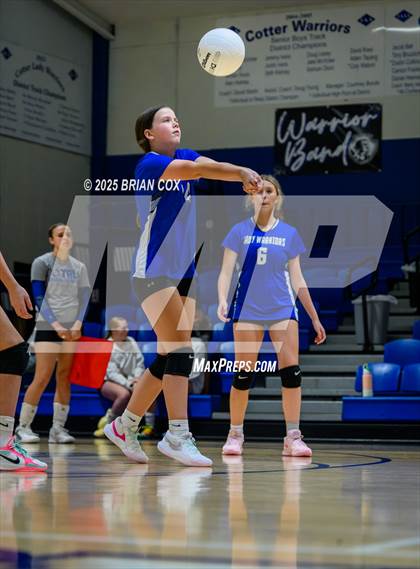 Thumbnail 3 in Marshall @ Cotter photogallery.