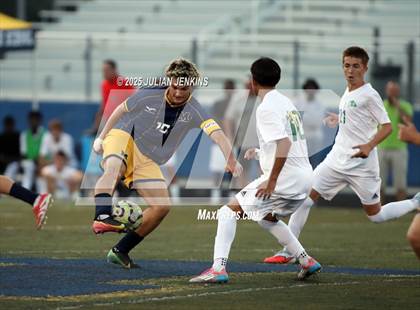 Thumbnail 3 in Borah @ Meridian photogallery.