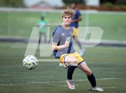 Thumbnail 1 in Borah @ Meridian photogallery.