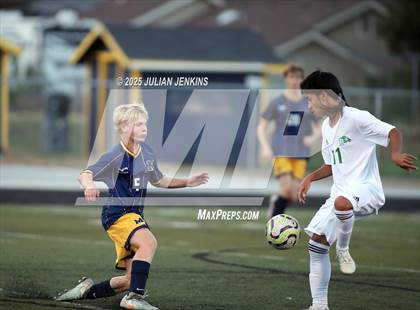 Thumbnail 3 in Borah @ Meridian photogallery.