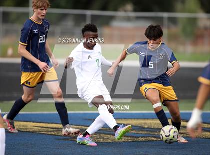 Thumbnail 2 in Borah @ Meridian photogallery.