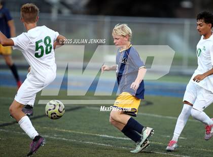 Thumbnail 3 in Borah @ Meridian photogallery.