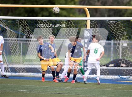 Thumbnail 1 in Borah @ Meridian photogallery.
