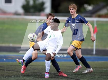 Thumbnail 3 in Borah @ Meridian photogallery.