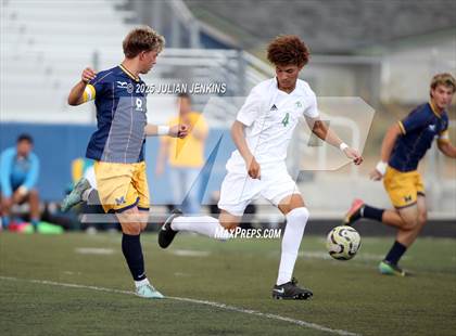 Thumbnail 2 in Borah @ Meridian photogallery.