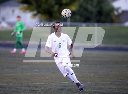 Thumbnail 1 in Borah @ Meridian photogallery.