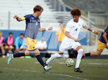Thumbnail 1 in Borah @ Meridian photogallery.