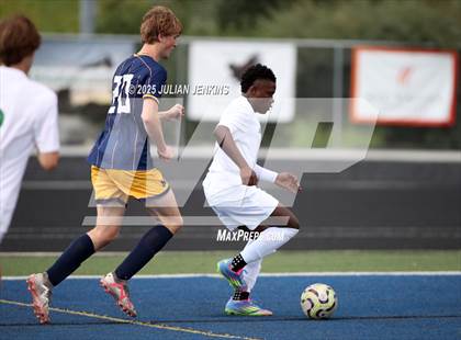 Thumbnail 3 in Borah @ Meridian photogallery.