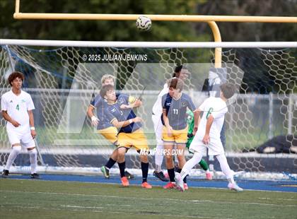 Thumbnail 2 in Borah @ Meridian photogallery.