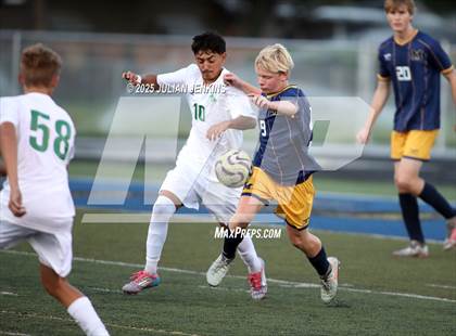 Thumbnail 2 in Borah @ Meridian photogallery.