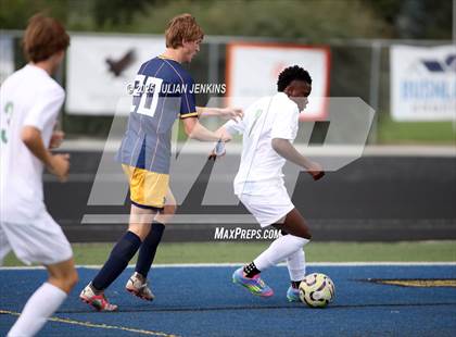 Thumbnail 1 in Borah @ Meridian photogallery.