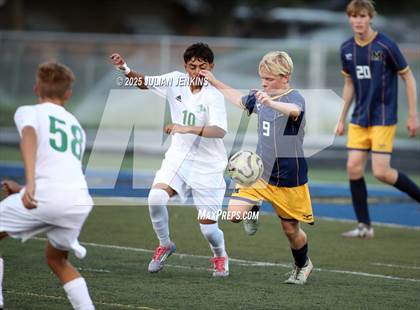 Thumbnail 1 in Borah @ Meridian photogallery.