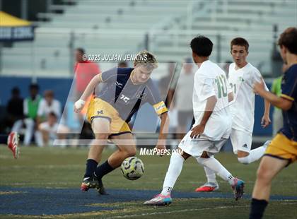 Thumbnail 1 in Borah @ Meridian photogallery.