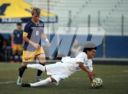 Thumbnail 2 in Borah @ Meridian photogallery.