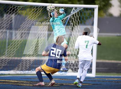 Thumbnail 3 in Borah @ Meridian photogallery.