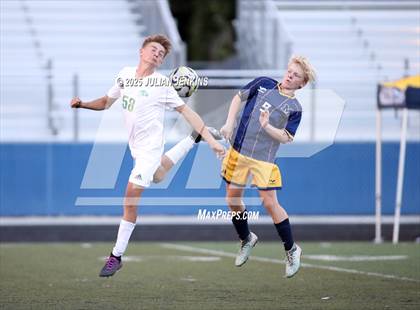 Thumbnail 1 in Borah @ Meridian photogallery.