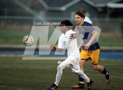 Thumbnail 3 in Borah @ Meridian photogallery.